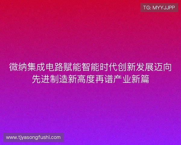 微纳集成电路赋能智能时代创新发展迈向先进制造新高度再谱产业新篇